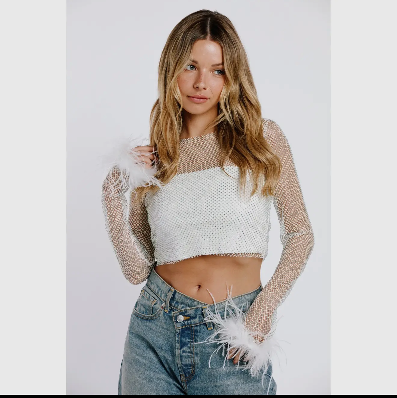 Fishnet long sleeve cropped top